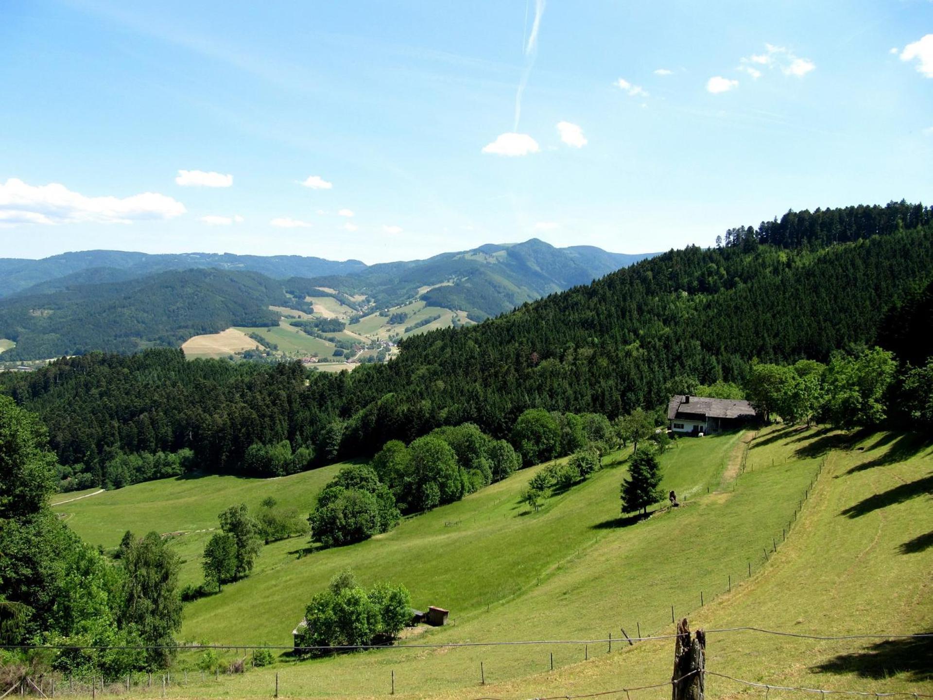 Ferienwohnung Weyl Eschbach (Breisgau-Hochschwarzwald) Exterior foto